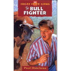 The Bull Fighter