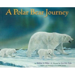 A Polar Bear Journey
