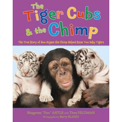 The Tiger Cubs and the Chimp
