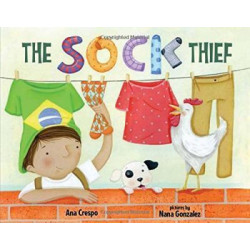The Sock Thief