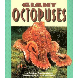 Giant Octopuses