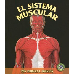 El Sistema Muscular (the Muscular System)