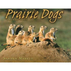 Prairie Dogs