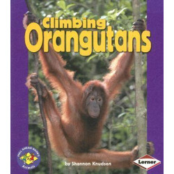 Climbing Orangutans