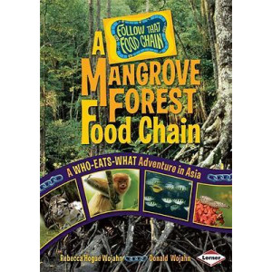 A Mangrove Forest Food Chain