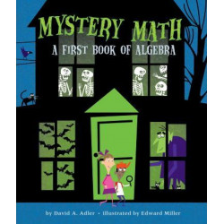Mystery Math a First Book of Algebra