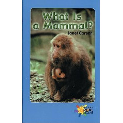 What Is a Mammal?