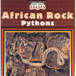 African Rock Pythons