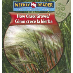Como Crece la Hierba/How Grass Grows