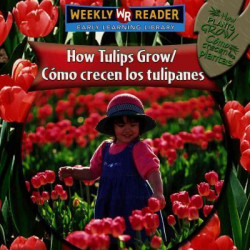 Como Crecen los Tulipanes/How Tulips Grow