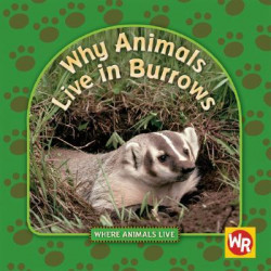 Why Animals Live in Burrows