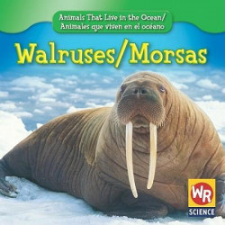 Walruses/Morsas