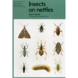 Insects on nettles