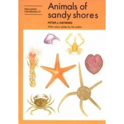 Animals of sandy shores