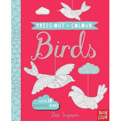 Press Out and Colour: Birds