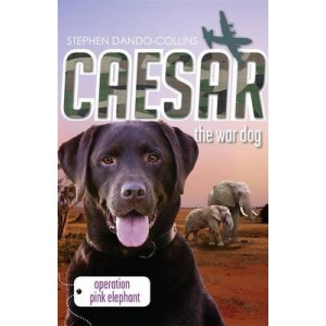 Caesar the War Dog 3