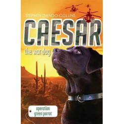 Caesar the War Dog 4