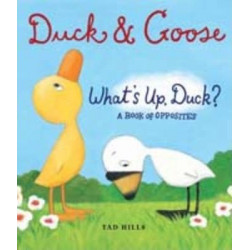 Duck and Goose: What's Up, Duck? A Book of Opposites