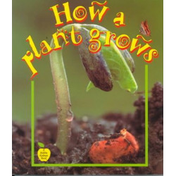 How a Plant Grows