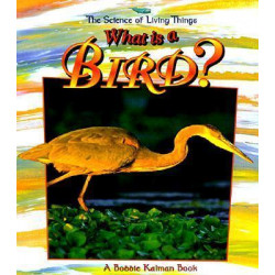 What is a Bird?