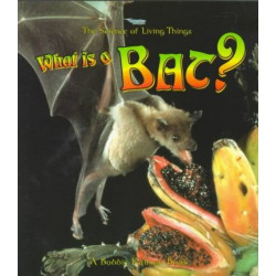 What is a Bat?
