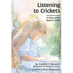 Listening To Crickets