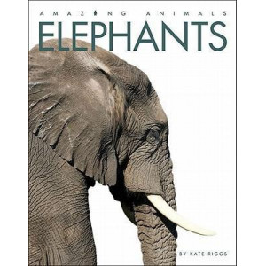 Amazing Animals: Elephants