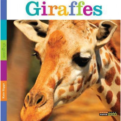 Seedlings: Giraffes
