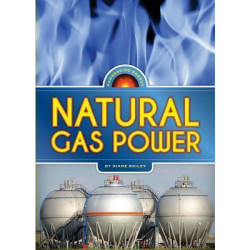 Harnessing Energy: Natural Gas Power