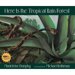 Here Is the Tropical Rain Forest