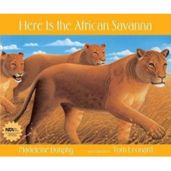 Here Is the African Savanna
