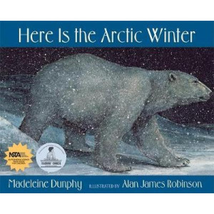 Here Is the Arctic Winter