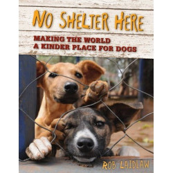 No Shelter Here