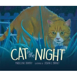 Cat in the Night