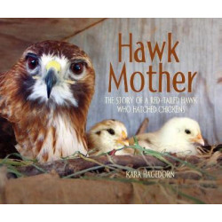 Hawk Mother