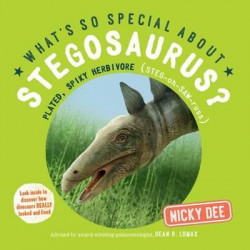 What's So Special About Stegosaurus