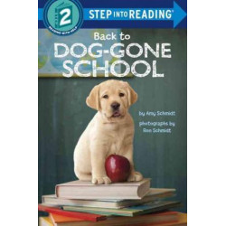 Back to Dog-Gone School
