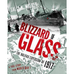 Blizzard of Glass