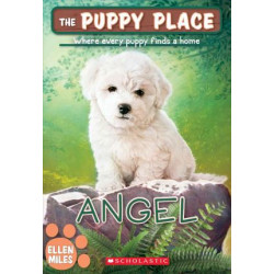 Angel (the Puppy Place #46)