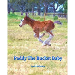 Paddy the Bucket Baby