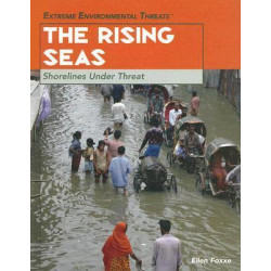 The Rising Seas