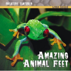 Amazing Animal Feet