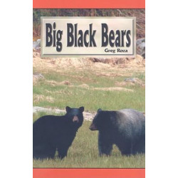 Big Black Bears