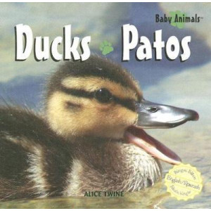 Ducks/Patos