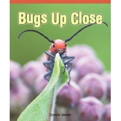 Bugs Up Close