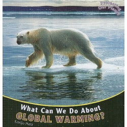 What Can We Do about Global Warming?