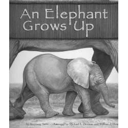An Elephant Grows Up