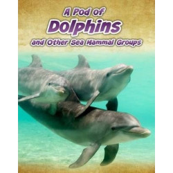 A Pod of Dolphins