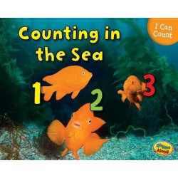 Counting in the Sea