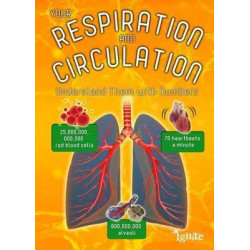 Your Respiration and Circulation